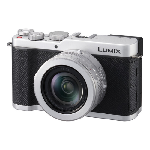 Panasonic LUMIX L10 Digital Camera (Silver)